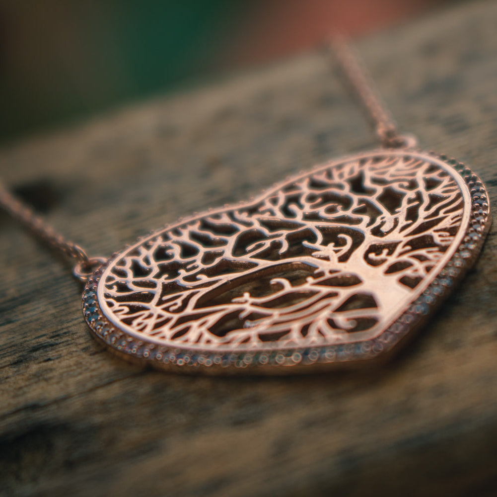 Raíces Rosadas del Alma