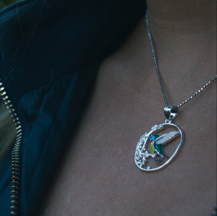 Alegría Alada